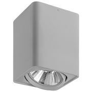 212639 Светильник MONOCCO AR111 СЕРЫЙ