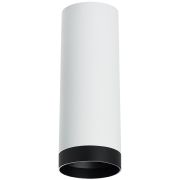 R4863437 Светильник RULLO HP16 (214486+203437)