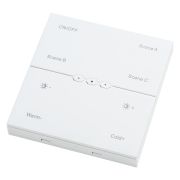 505536R Пульт Д/У (диммер) настенный LIGHTSTAR к 205ххх(TETA) БЕЛЫЙ для PRO