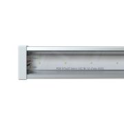 Барокко 12 600мм CRI80 5000К Закаленное стекло